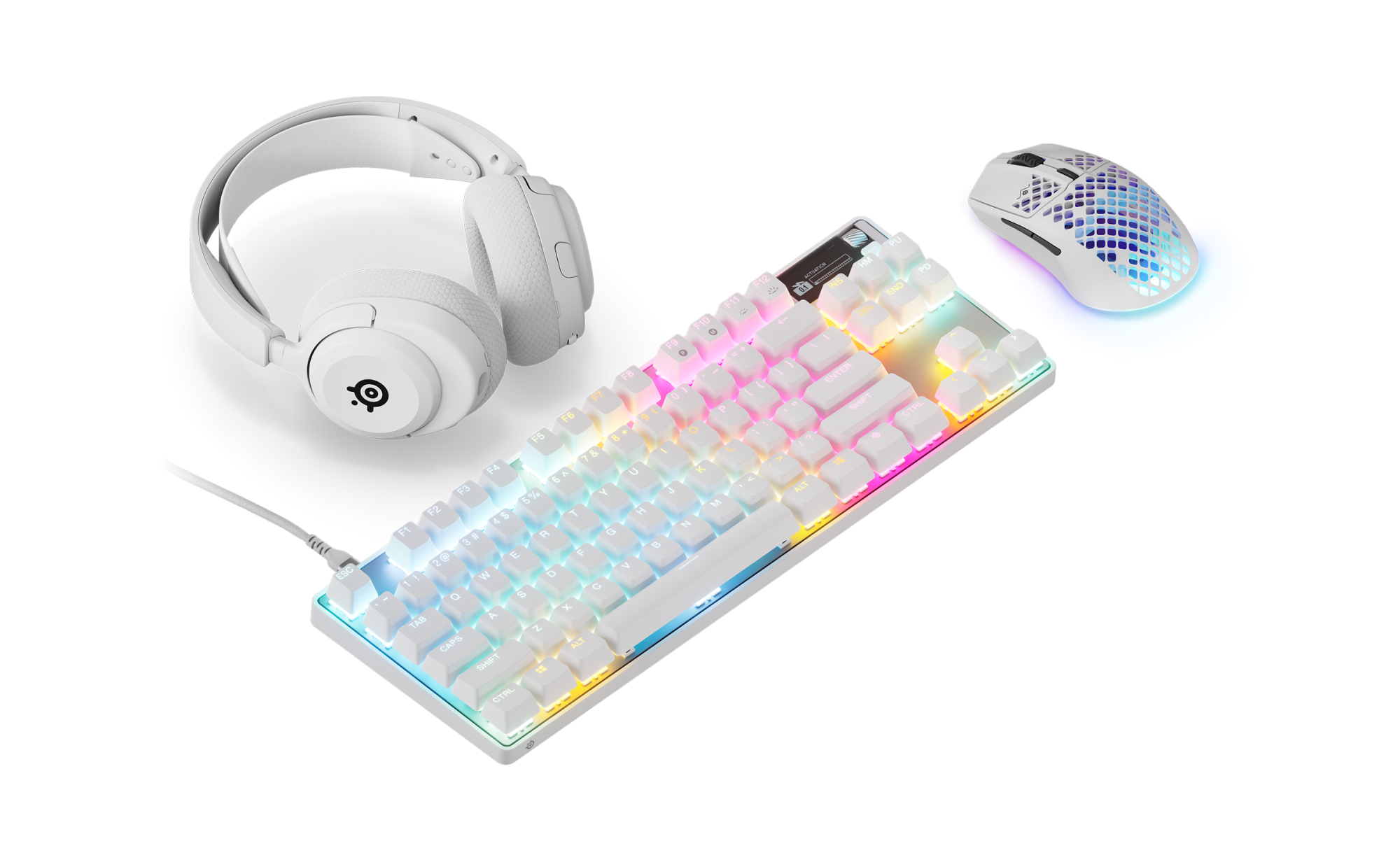 White Out Champion Bundle